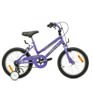 BIN19052 ROD.16 CROSS DAMA ROS